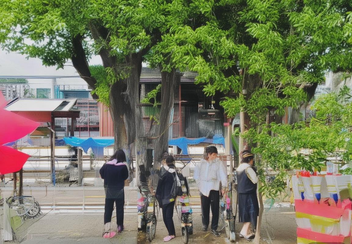 翻译助手-翻译工具-多语言翻译工具